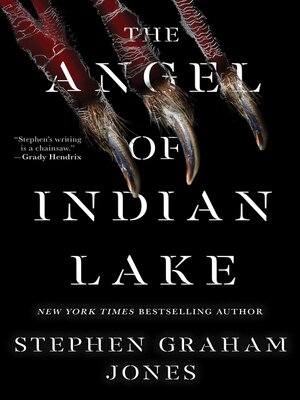 cover image of The Angel of Indian Lake